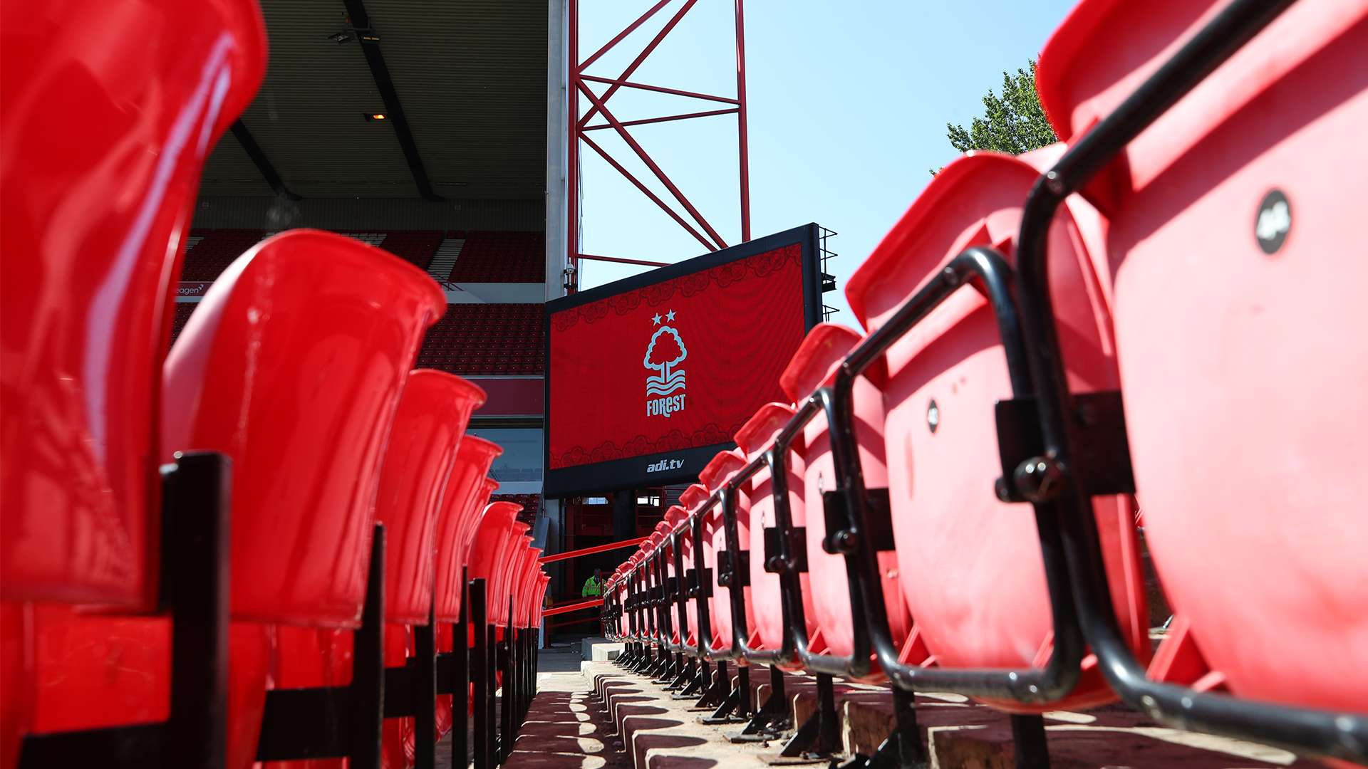 糖果和饼干 糖果和饼干